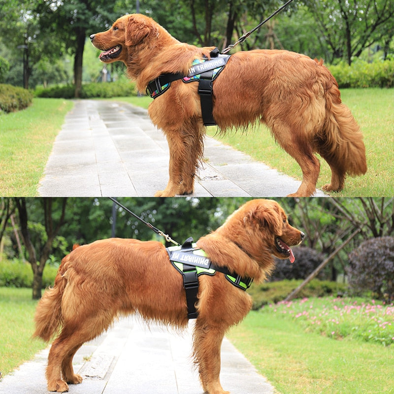 PetsSet®️ The Personalized No Pull Harness Adjustable