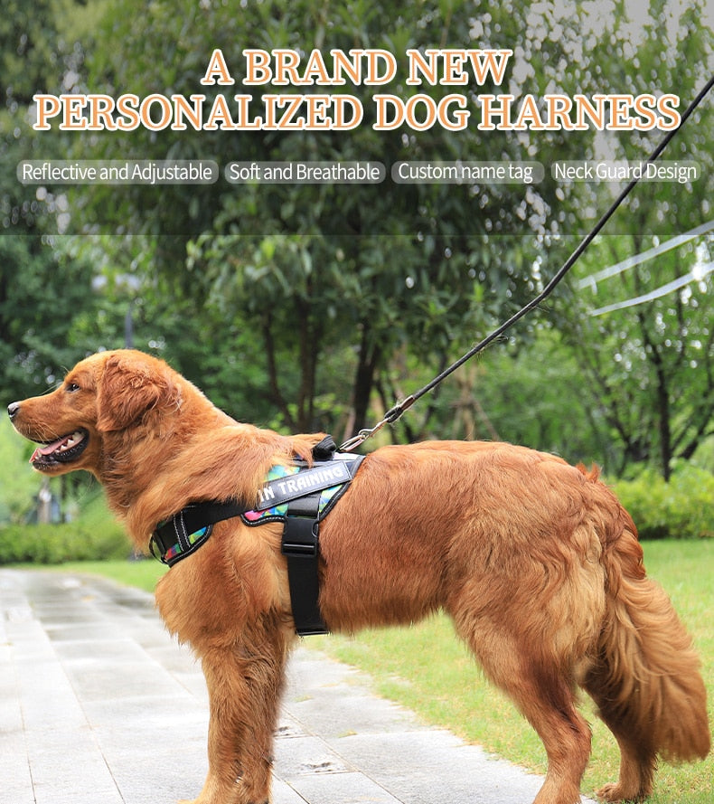 PetsSet®️ The Personalized No Pull Harness Adjustable